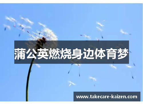 蒲公英燃烧身边体育梦